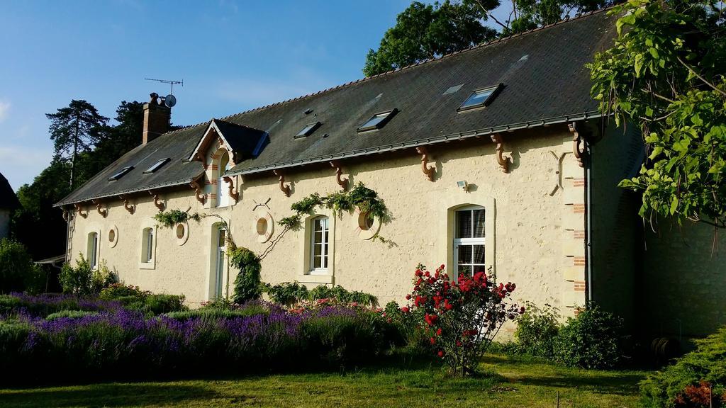 Chateau Vary Jarze Bilik gambar